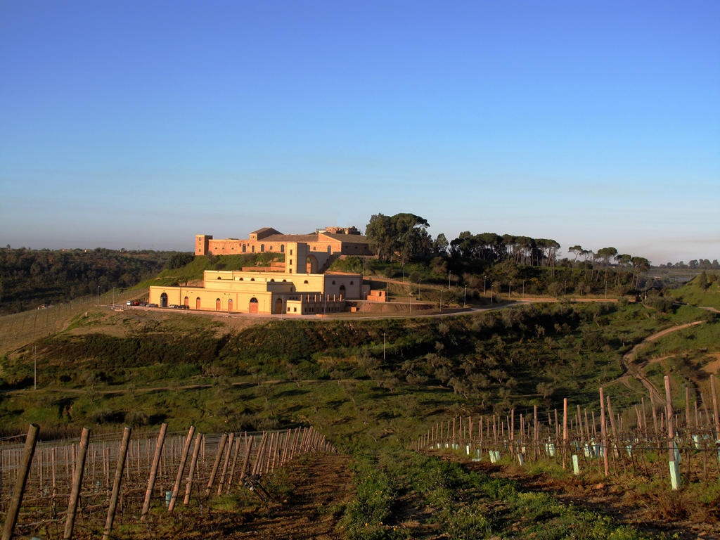 Wine Relais Feudi Del Pisciotto Villa Niscemi Luaran gambar